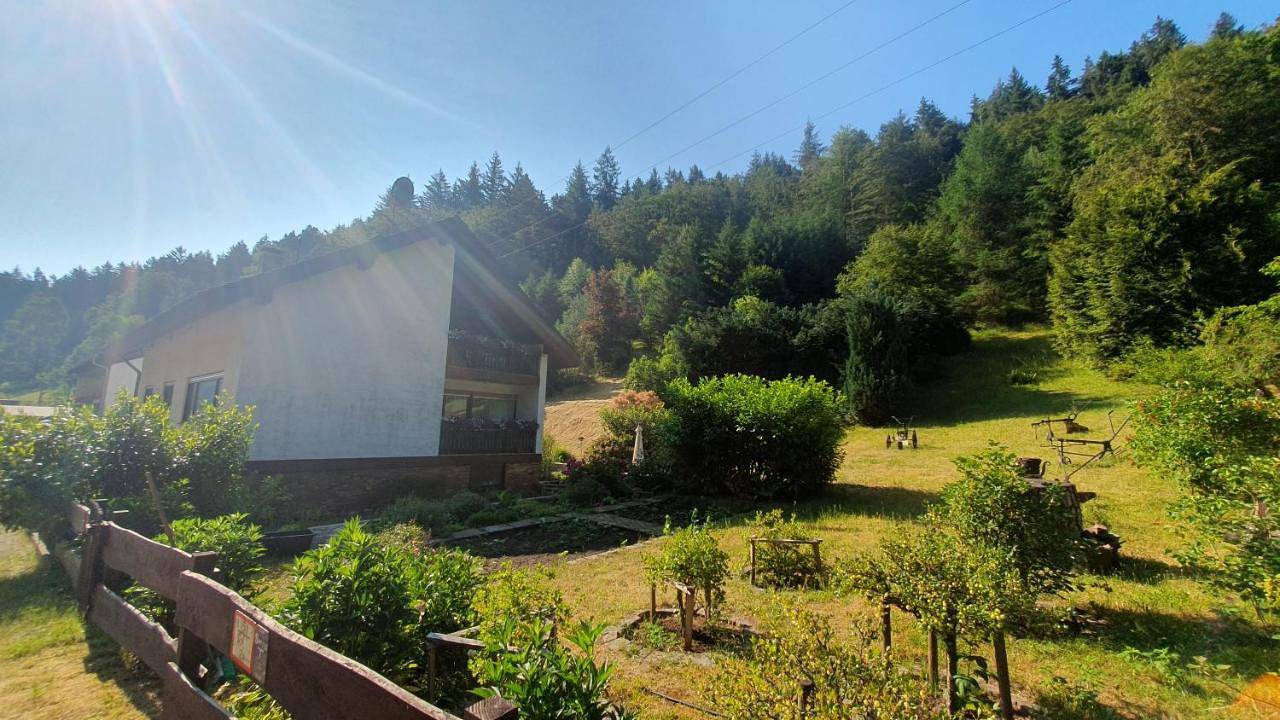 Pension Ernst im Herzen des Pfälzerwaldes mit Küche in Elmstein, Saar-Nahe-Bergland