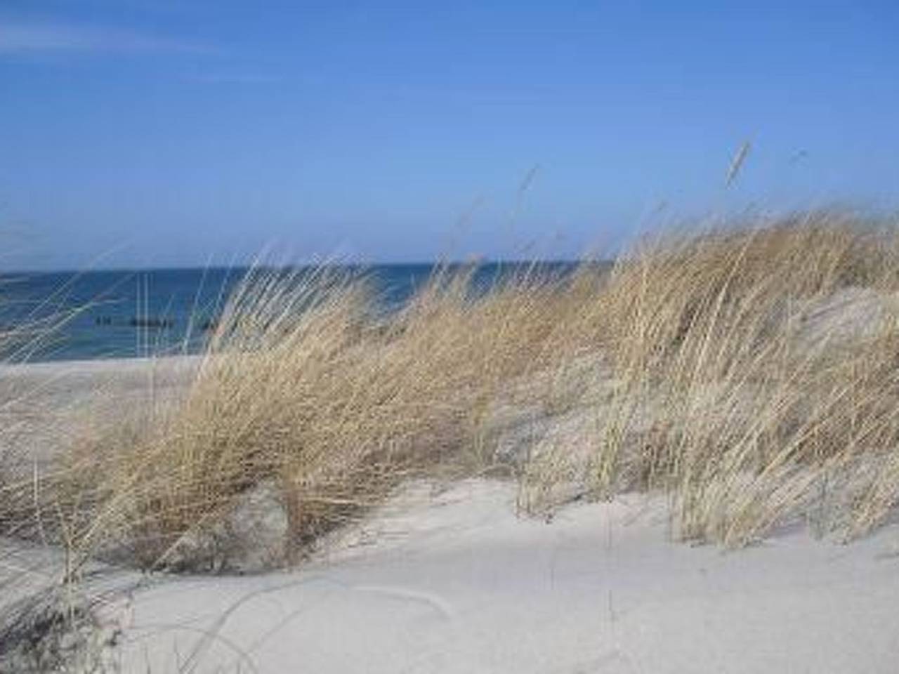 Apartamento entero, 1 Raum Graal-Müritz in Graal-Müritz, Rostock y sus alrededores