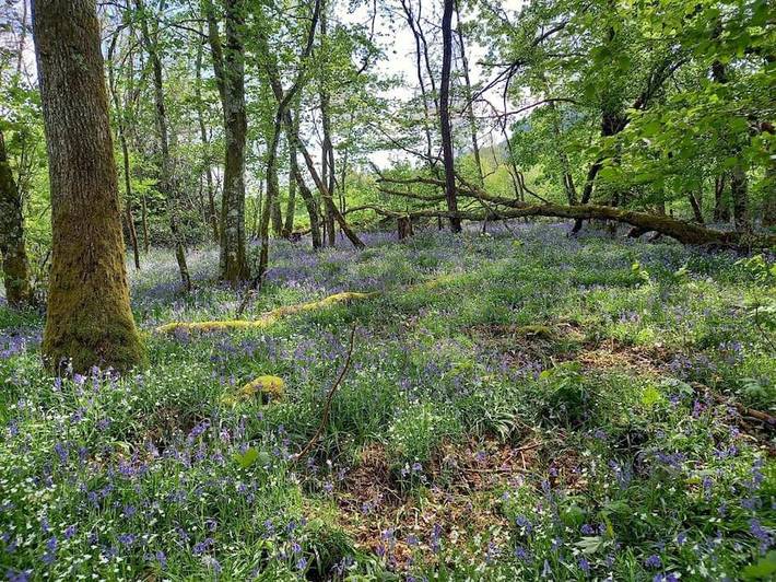 Location de vacances pour 2 personnes, avec jardin et vue à Cussy-en-Morvan - 3