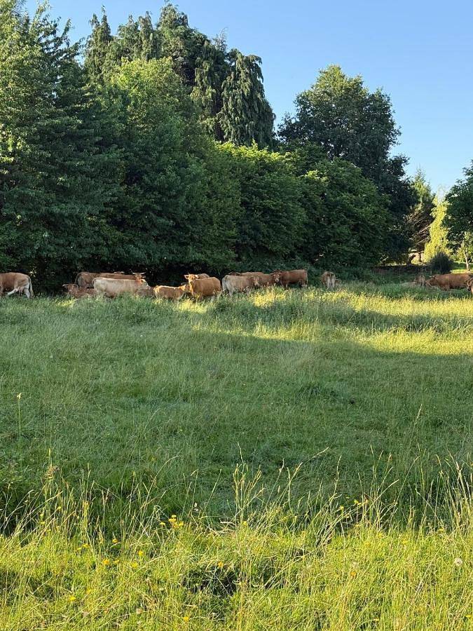 Location de vacances pour 6 personnes, avec vue et jardin, animaux acceptés à Lanouaille - 3