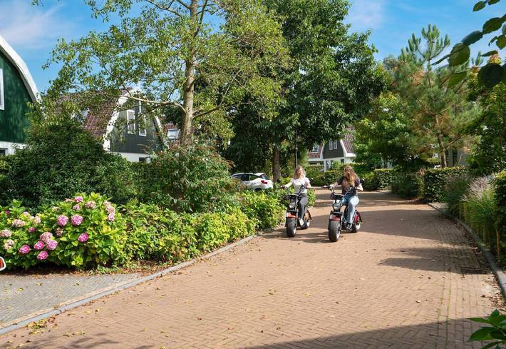 Vakantiehuis voor 4 personen, met huisdier in Schoorl