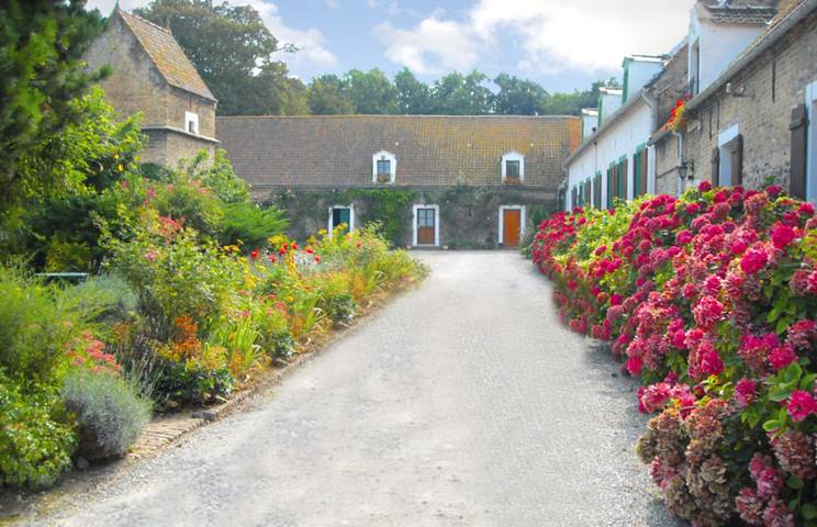 Gîte pour 6 personnes, avec terrasse et jardin à Escalles - 4