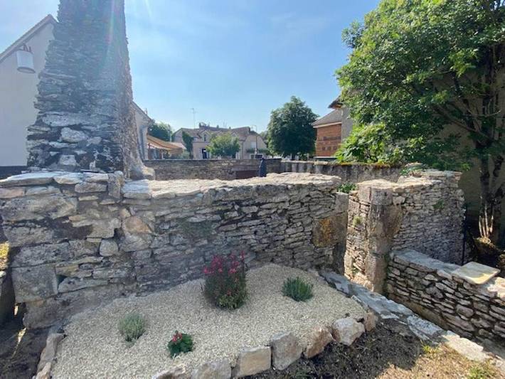 Location de vacances pour 6 personnes, avec jardin dans Forêt des singes - 4