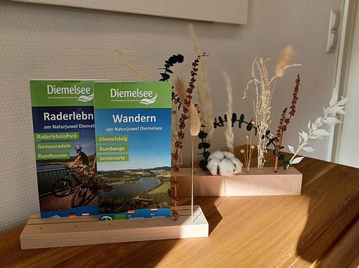 Ganze Wohnung, Sonnenweg 44-5 - Mein Diemelsee in Diemelsee, die Mittelgebirge