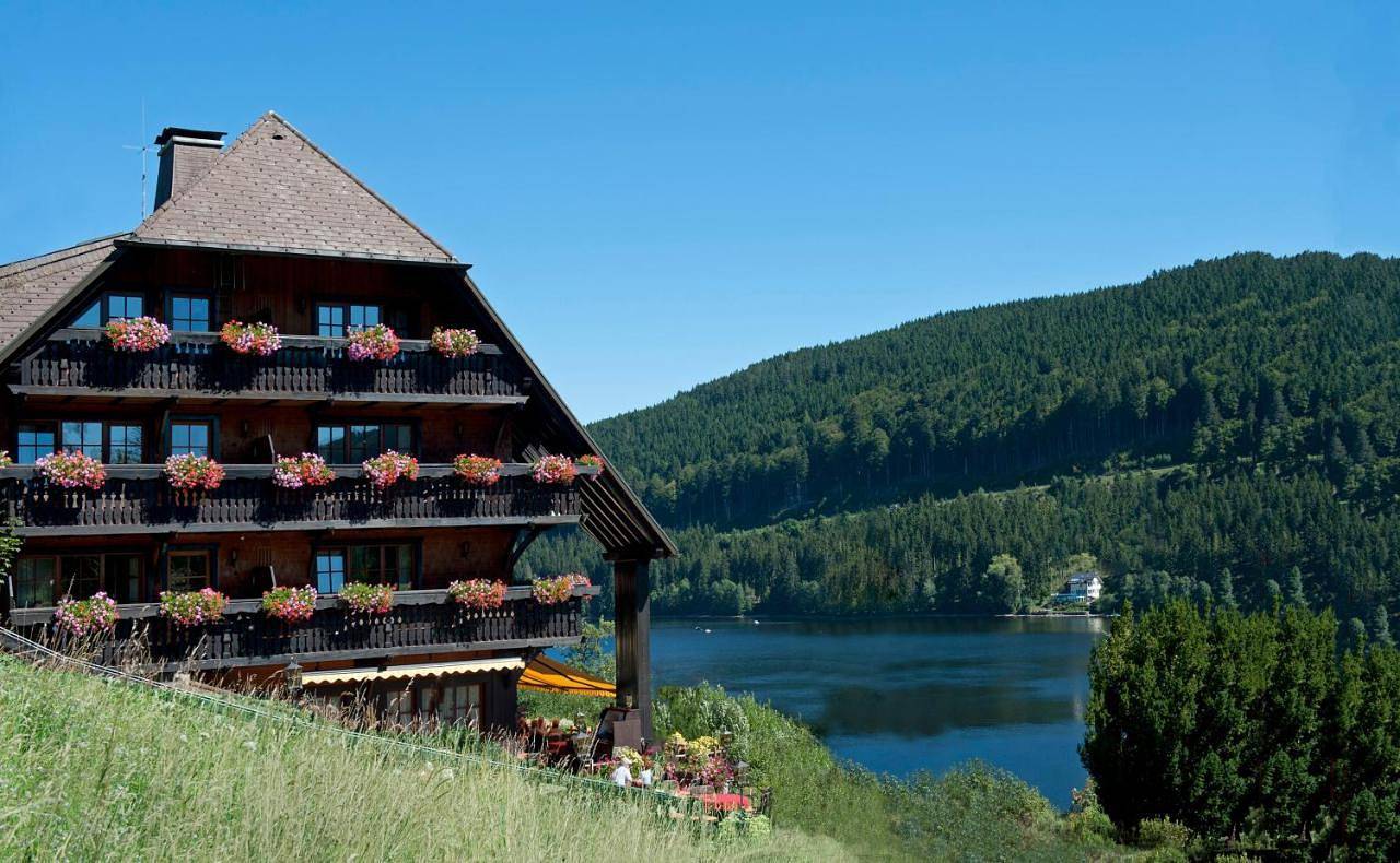 Alemannenhof - Boutique Hotel am Titisee in Titisee (Titisee-Neustadt), Hinterzarten