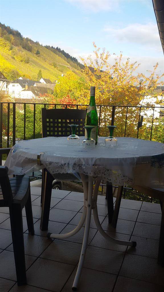 Ferienwohnung für 5 Personen, mit Balkon, mit Haustier in Schweich an der Römischen Weinstraße - 2