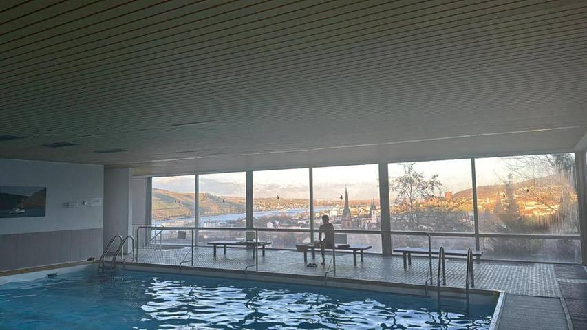 Ferienwohnung für 7 Personen, mit Balkon und Pool sowie Sauna und Ausblick in Rheinhessen - 2