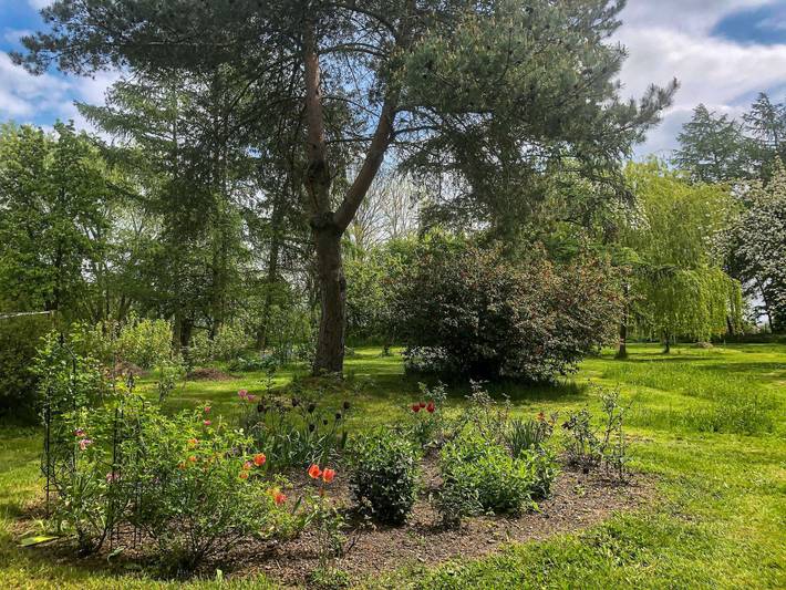 Ferienwohnung für 3 Personen, mit Garten in Gützkow - 3