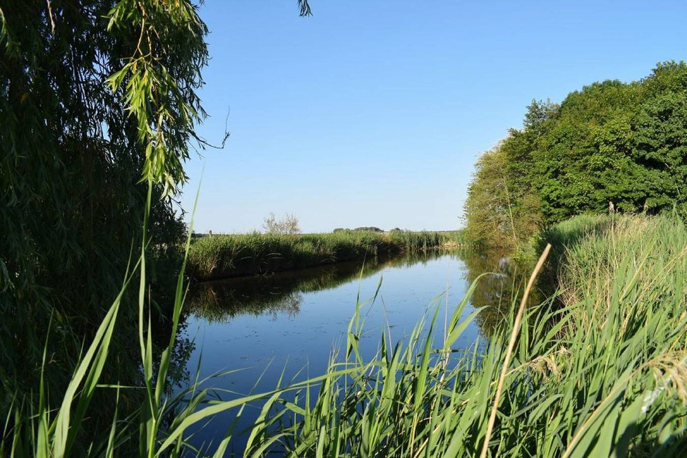 Ganze Wohnung, Ferienwohnung Sönke-Nissen: Ihr Rückzugsort im Reetdachhaus Bongsiel in Ockholm, Nordsee - Schleswig-Holstein