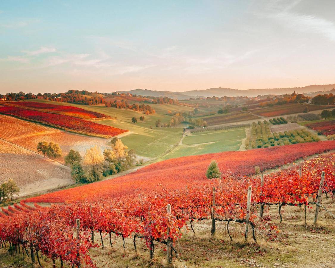 Agriturismo Opera 02 in Castelvetro di Modena, Provincia di Modena