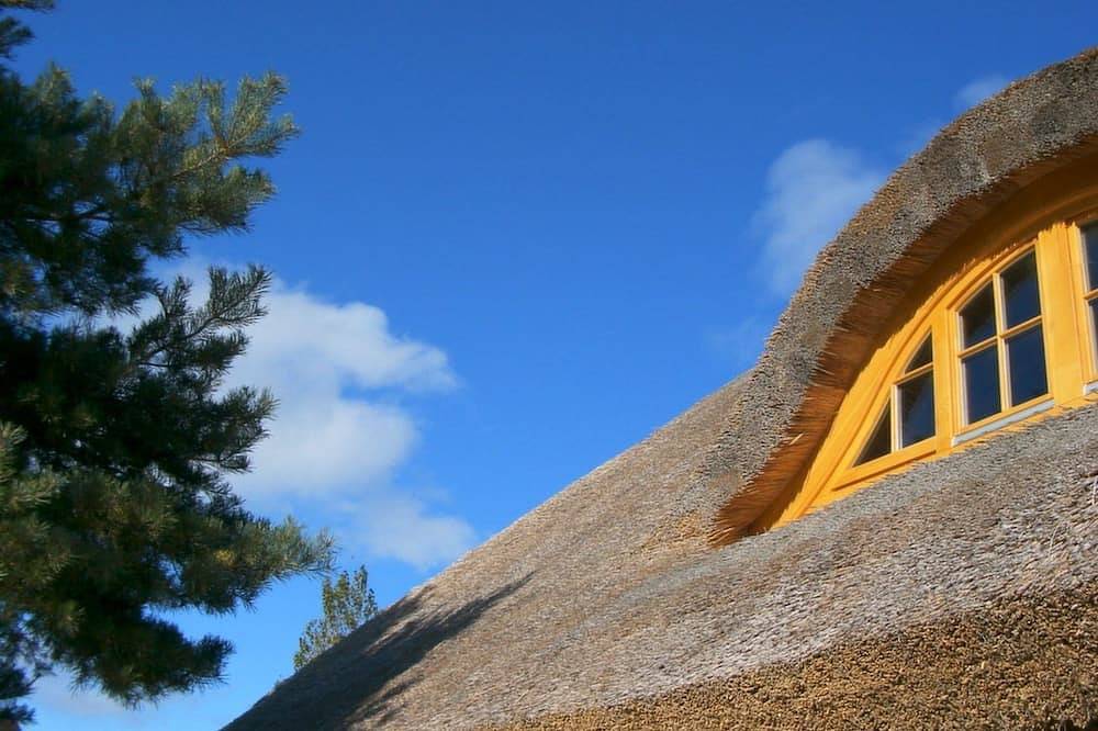 Appartement entier, Appartement / 22 m² - Petit appartement dans un pêcheur Hiddensee in Neuendorf Hiddensee Island, Hiddensee