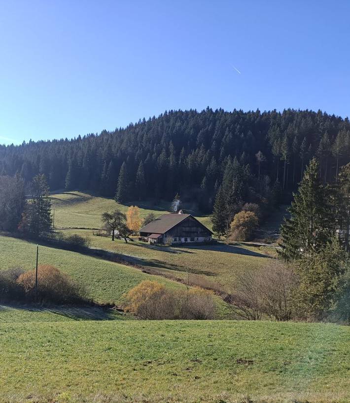 Chambre d’hôte pour 5 personnes, avec jardin, animaux acceptés dans le Doubs - 4