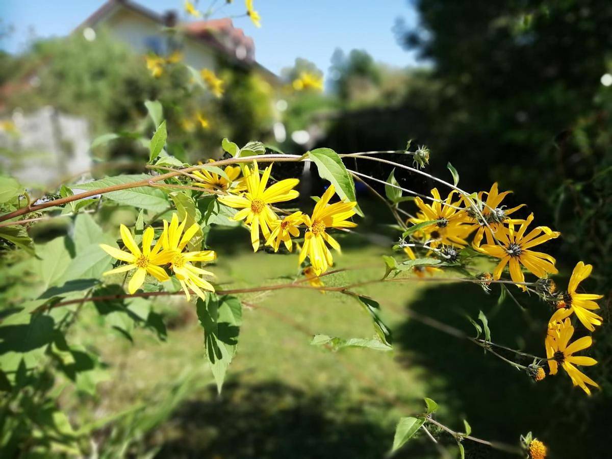 Ganze Wohnung, Fewo Happy Place in traumhafter Lage See nah in Utting, Ammersee