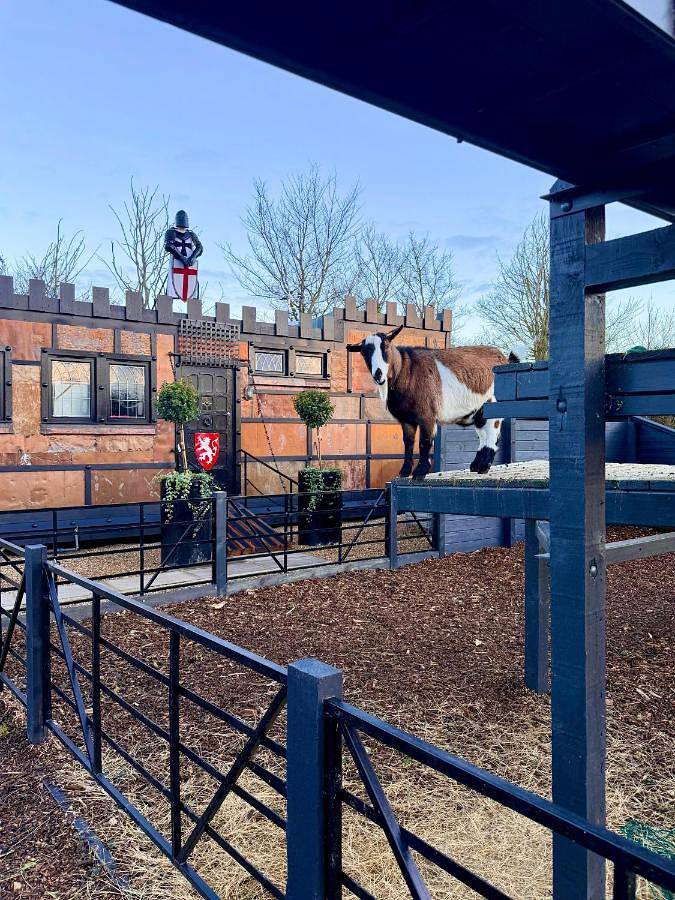 Gîte pour 4 personnes, avec vue et jardin dans Bray - 2