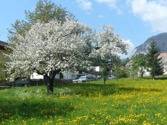 Ganze Ferienwohnung, Landhaus Alpenblick - Ferienwohnung in Wiesing, Bezirk Schwaz