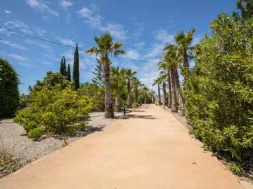 Villa in Sa Pobla, Mallorca Norden für 4 