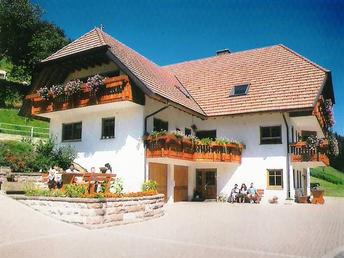Ferienwohnung für 3 Personen, mit Balkon und Garten in Mittlerer Schwarzwald