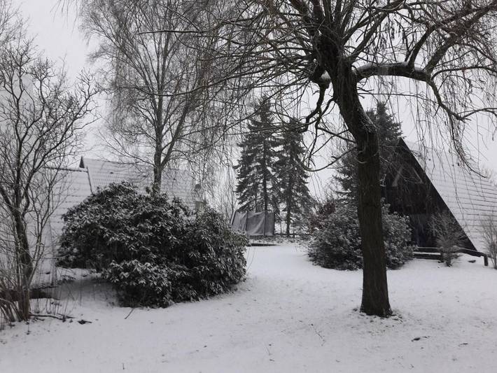 Location de vacances pour 6 personnes, avec jardin, adapté aux familles à Walsrode - 3