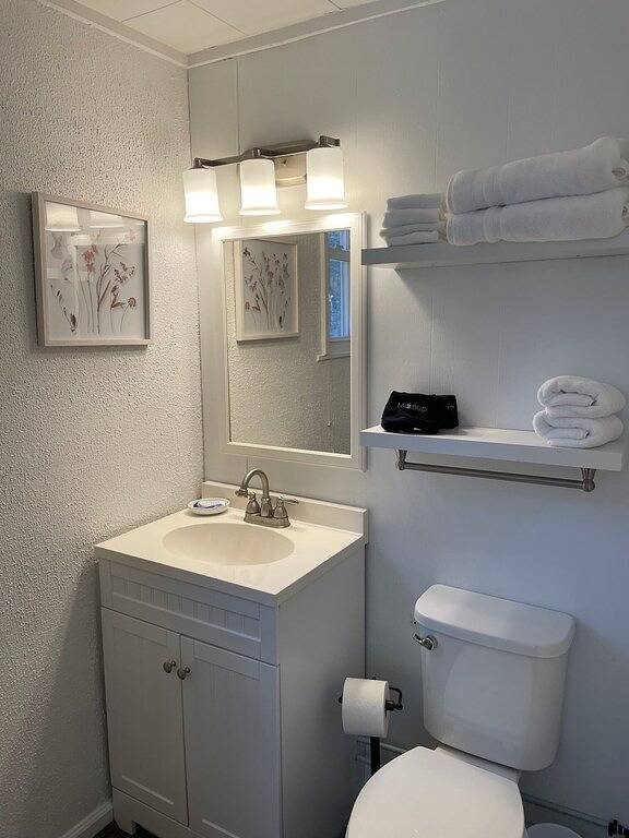 Downtown Brevard Hideaway Steps from Main St Restaurants-Dog Friendly, Fenced in Brevard, Transylvania County