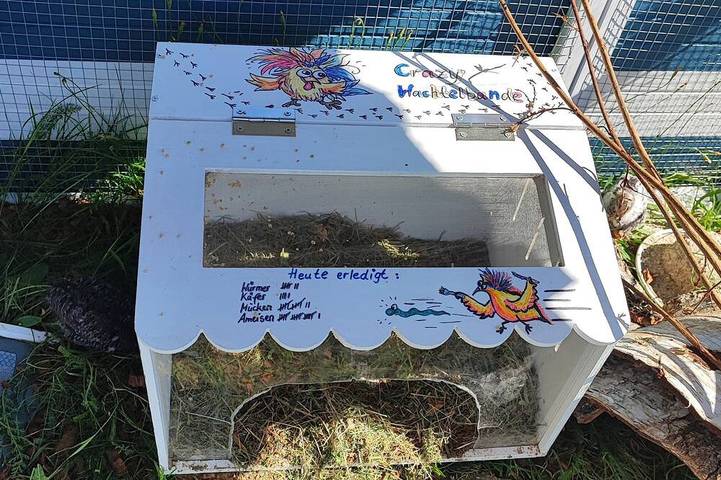 Schönes Ferienhaus „Heimat\" und Stellplätze in Naturidylle, Haustierfreundlich in Kołczewo, Stettiner Haff