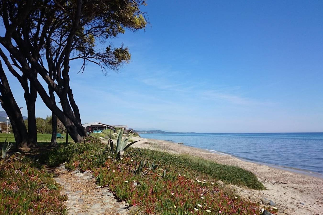 Villa Paesolu             in Cervione, Región de Corte