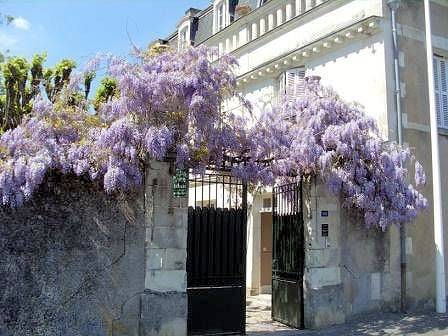 La Héraudière chambres d'hôtes - Chambre A la campagne in Tours, Région de Tours
