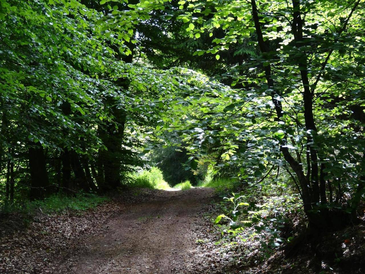 Hôtel l'Annexe in Moux-en-Morvan, Parc naturel régional du Morvan