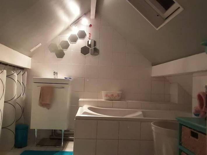 Gîte pour 4 personnes, avec jardin, animaux acceptés à Rueil-Malmaison - 4