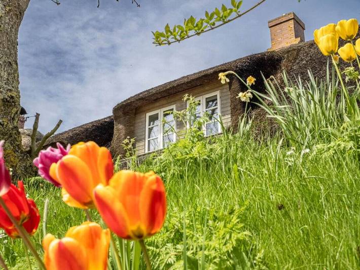 Ferienhaus für 4 Personen, mit Garten, mit Haustier in Pellworm