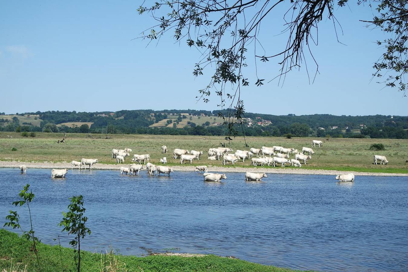 Eaux Calmes in Artaix, Charolles Området