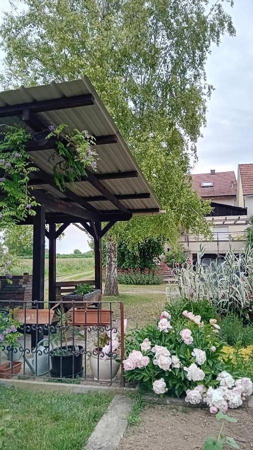 Gîte pour 2 personnes, avec vue et terrasse à Osthouse - 3