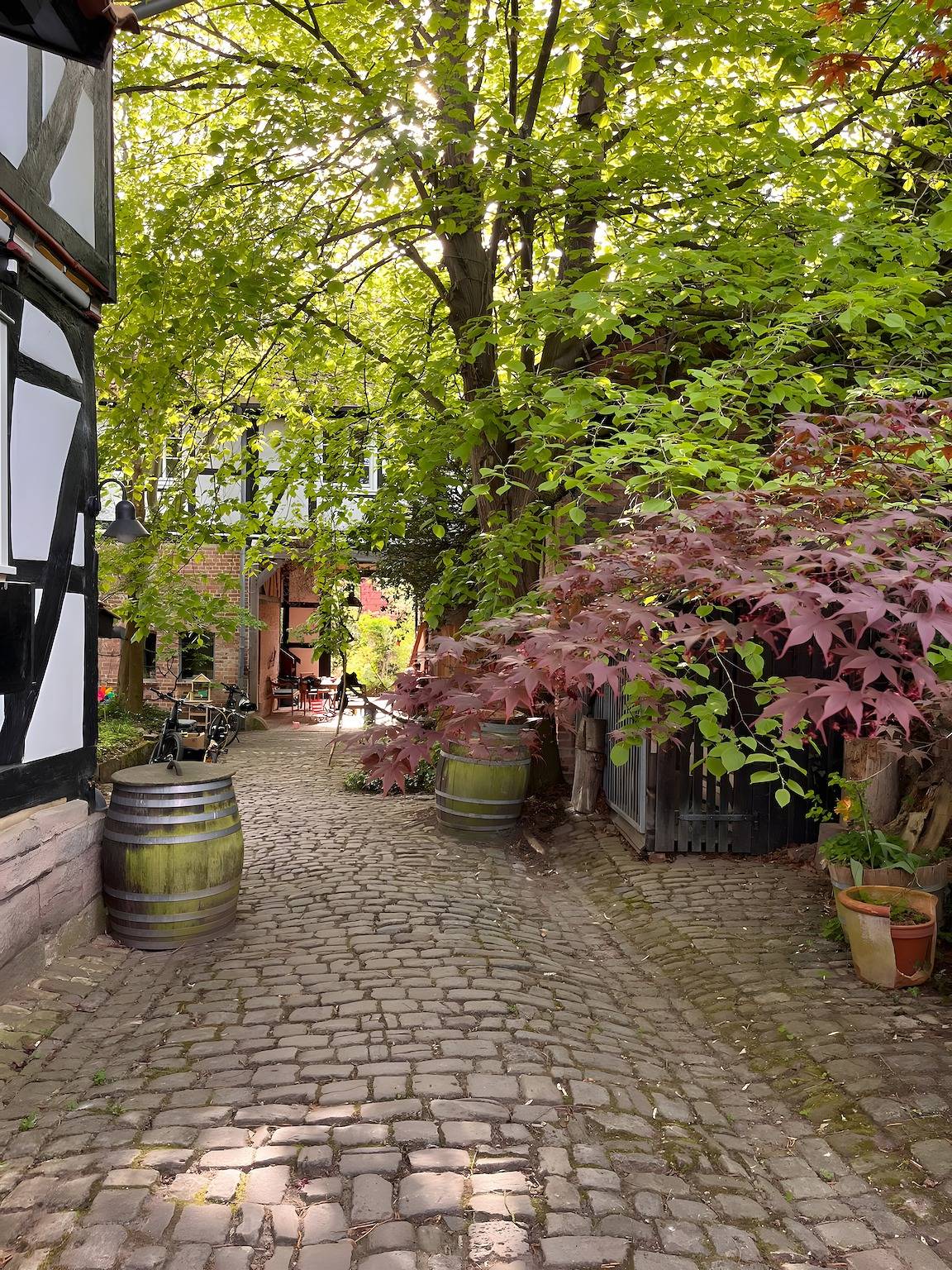 Ganze Wohnung, Wunderschöne Ferienwohnung am Gänsemarkt – Ruhe & Charme im historischen Fachwerkhaus in Meinhard, Werratal