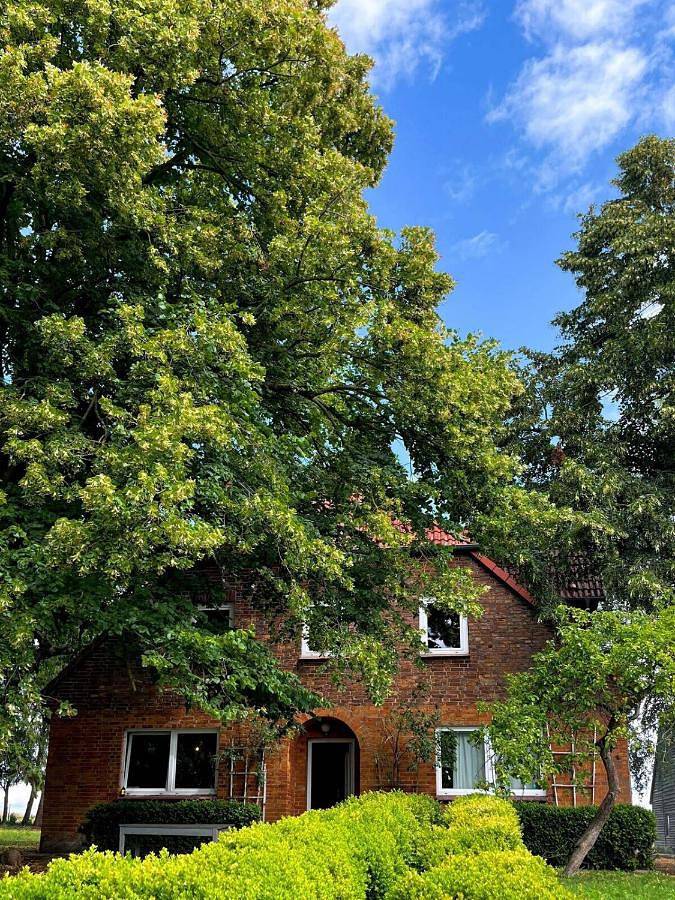 Privatzimmer für 2 Personen, mit Garten in Wardow
