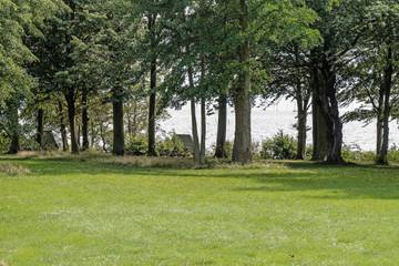 Ferienhaus Mit Meerblick für 5 Personen in Nysted, Lolland, Bild 1