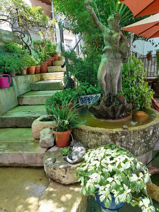 Casa rural para 4 personas, con Balcón y Terraza además de Jardín y Vistas en El Bosque