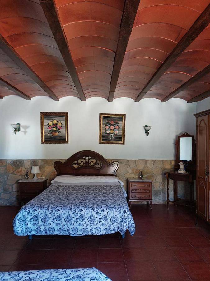 Casa rural para 12 personas, con Terraza además de Jardín y Piscina en Puebla de Don Fadrique - 3