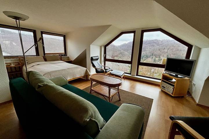 Ferienwohnung für 8 Personen, mit Terrasse und Garten sowie Sauna in Wieda - 2