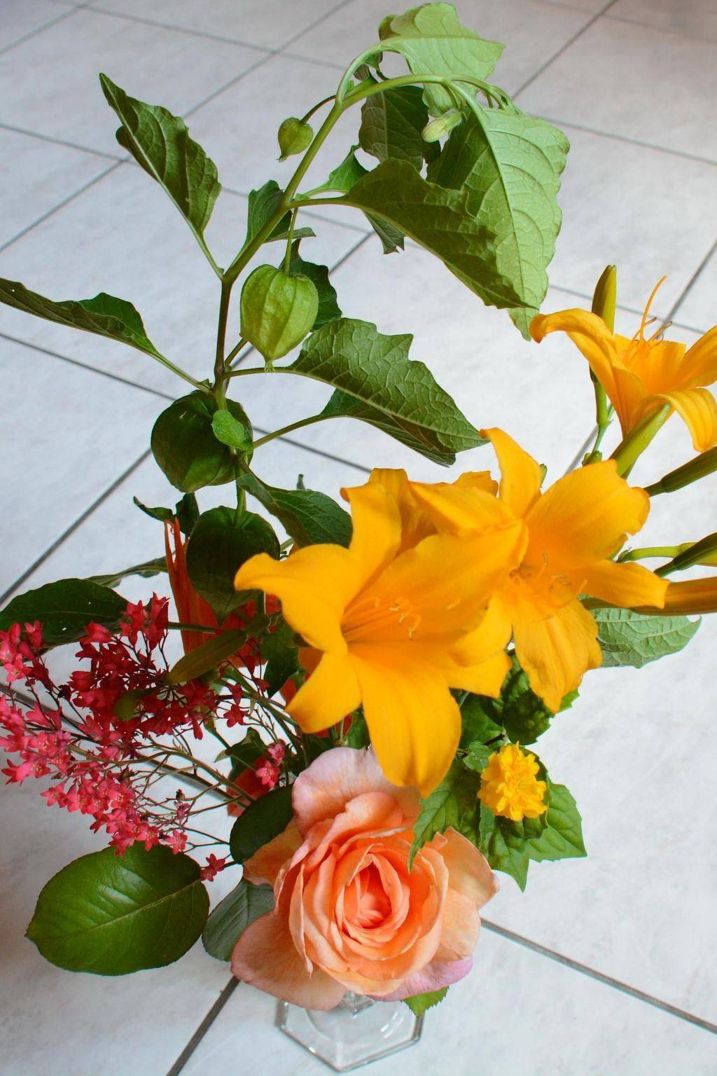 La Maison Bleue im Zentrum des Elsass in Bergheim in Bergheim (Alsace), Parc naturel régional des Ballons des Vosges