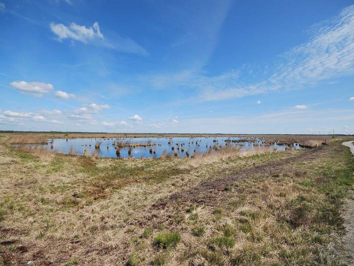 Ferienwohnung für 3 Personen, mit Balkon, kinderfreundlich in Uplengen - 3