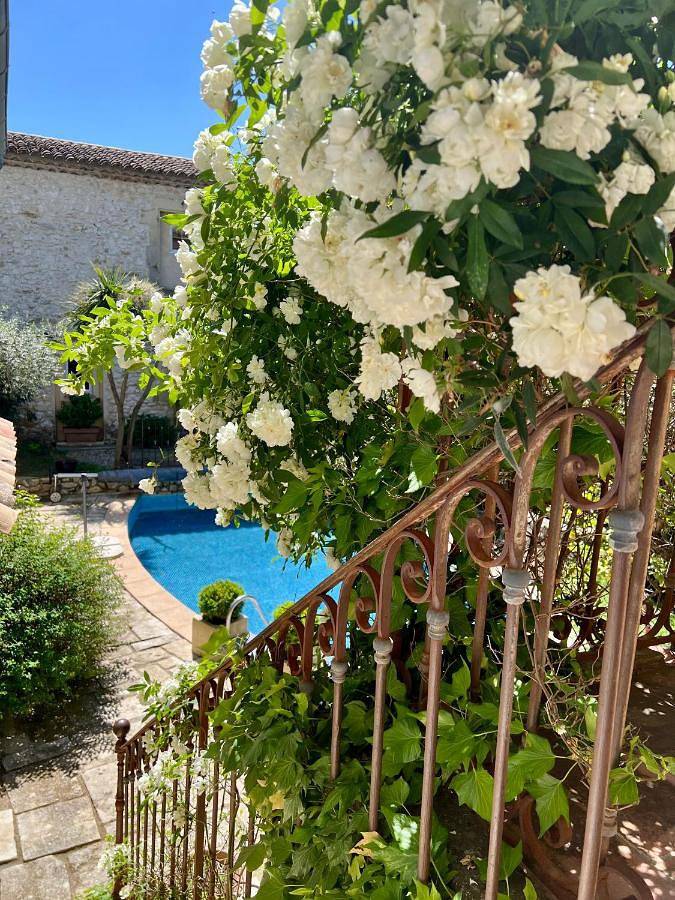 Gîte pour 2 personnes, avec jacuzzi ainsi que jardin et piscine à Saint-Geniès-de-Malgoirès - 3