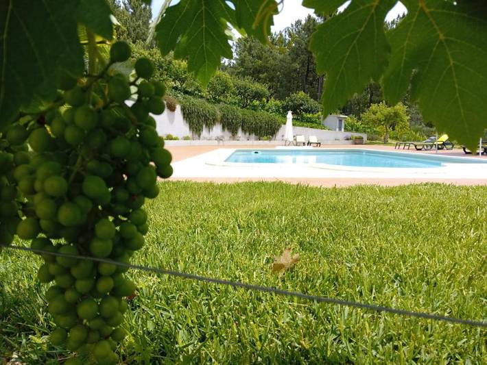 Casa rural para 2 personas, con jardín y piscina en Distrito de Vila Real - 2