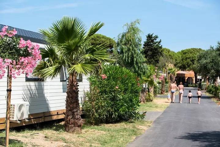 Cottage Riviera Estándar Climatizado 3 estancias 4 Personas in Les Ayguades, Narbona