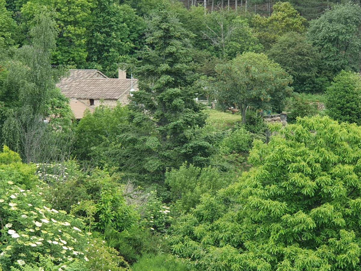 One-Bedroom House in Malarce-sur-la-Thines, Parc naturel régional des Monts d'Ardèche