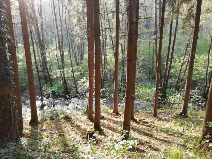 Location de vacances pour 3 personnes, avec vue et jardin, animaux acceptés à Couvin - 4