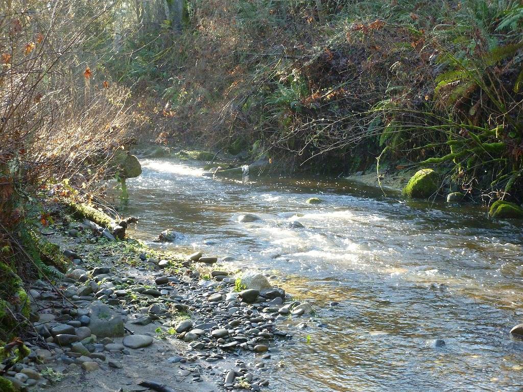 Unser Creekside Cottage liegt nur 1,6 km vom Olympic Discovery Trail entfernt. in Hurricane Ridge