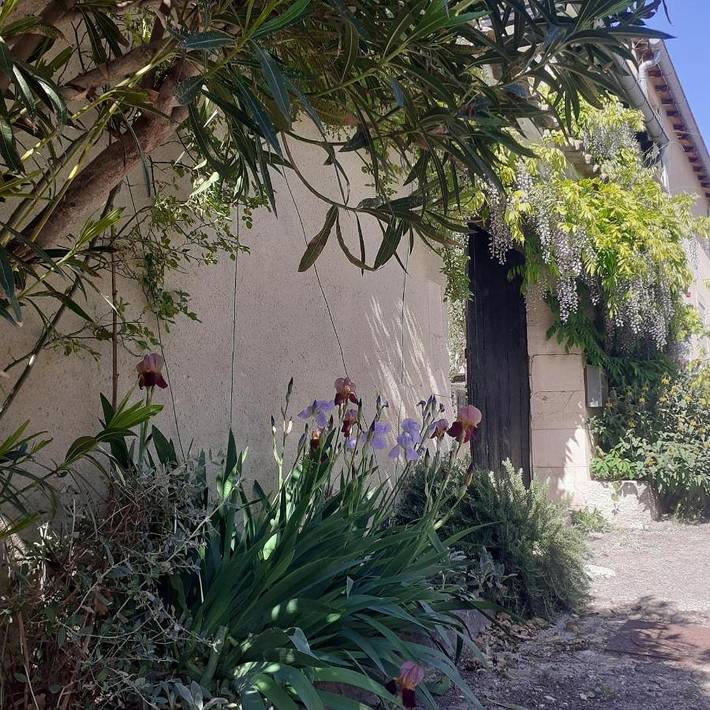 Location de vacances pour 4 personnes, avec terrasse et vue, animaux acceptés à Grignan - 4