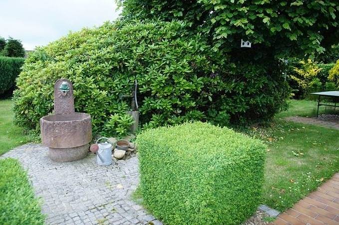 Jonnys in Hage, Norden og omegn
