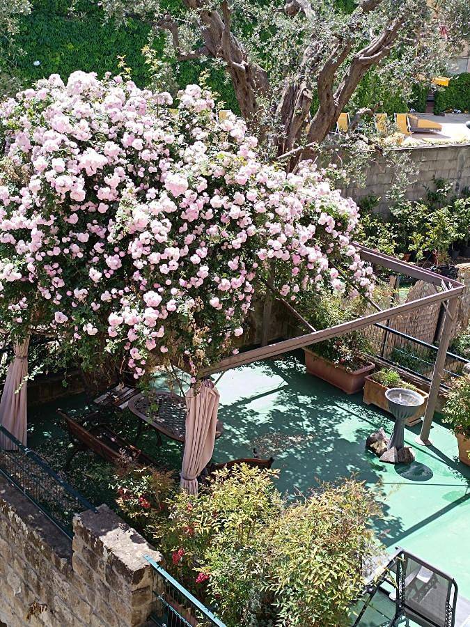 Chambre d’hôte pour 3 personnes, avec vue et jardin à Sorrento - 2