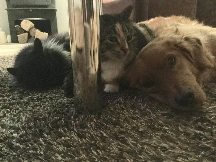 Location de vacances pour 2 personnes, avec terrasse ainsi que vue et jardin à Nantiat - 3