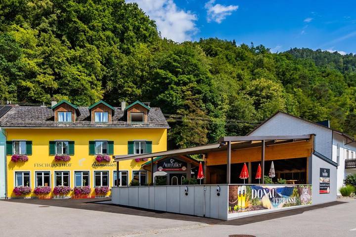 Hotel für 3 Personen, mit Garten und Ausblick sowie Terrasse in Mühlviertel - 4